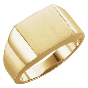 10k Yellow Gold 12mm Men's Signet Ring with Brush Finish, Size 10