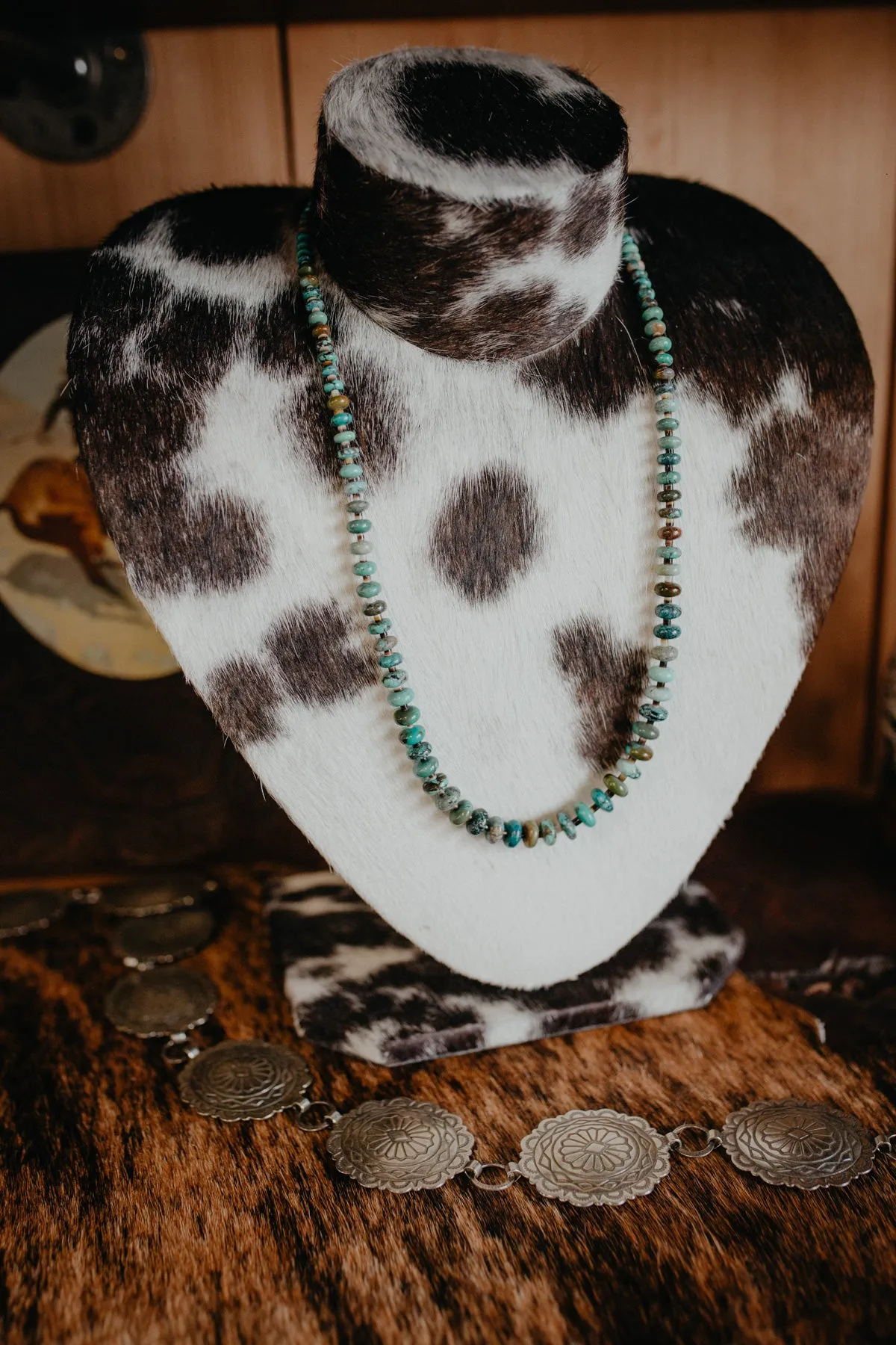 22" Polished Turquoise Rondelle and Shell Necklace