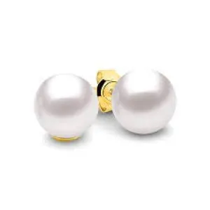 9ct Yellow Gold Stud Earrings with White Fresh Water Pearl 5mm