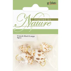 CONCH SHELL WITH RING LARGE 4PC
