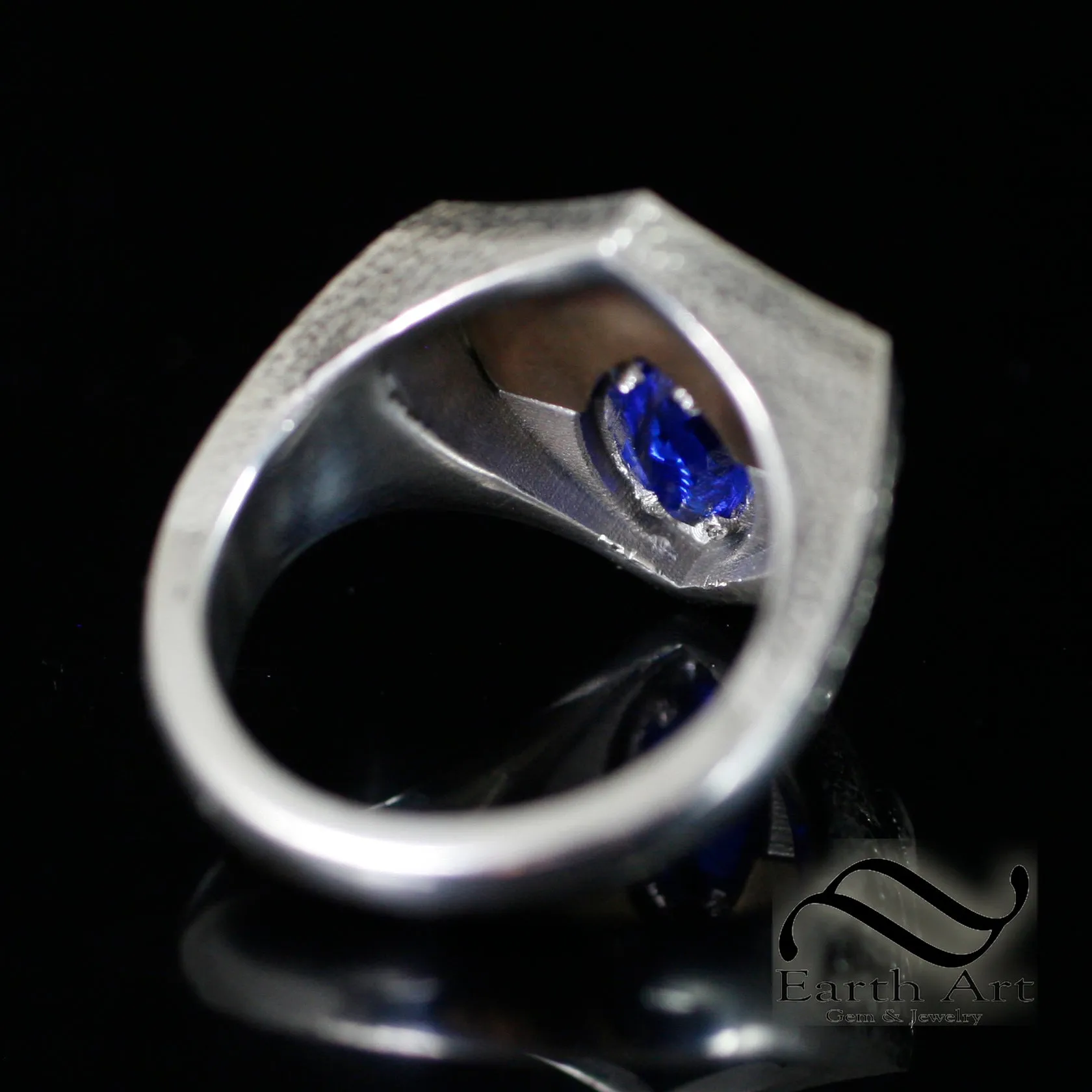 Deluxe House Signet Ring - The Raven - Sterling Silver and Ancient Bronze
