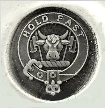 Family Clan Badge Surface Engraved 14mm x 13mm  Sterling Silver Signet Ring