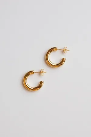 Gold Mini Thick Hoop Earrings