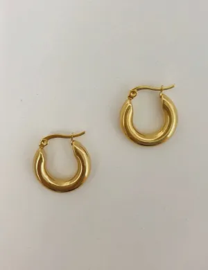 Huggie Hoop Earrings