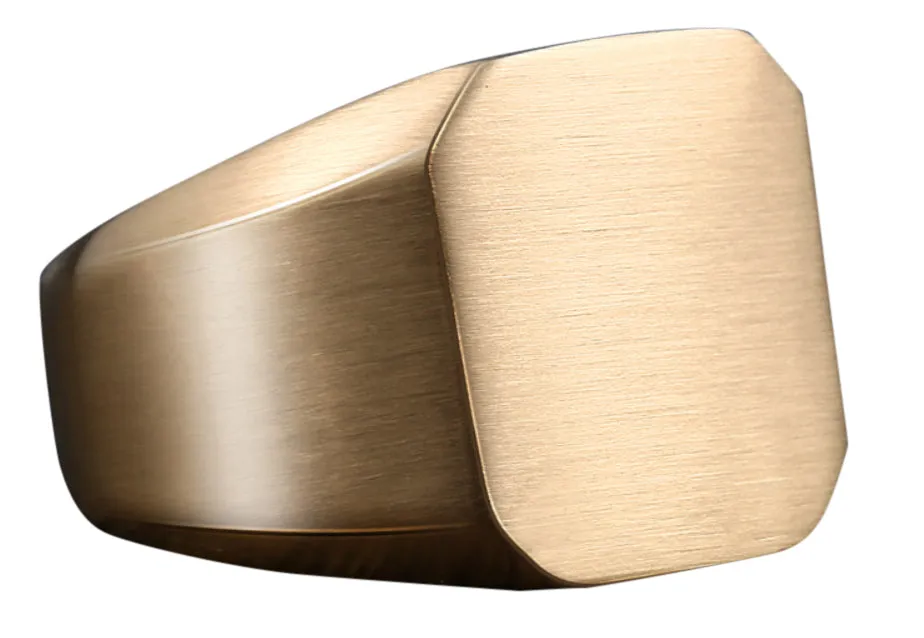 Mens Brushed Stainless Steel Signet ring - Gold / Stainless / Black