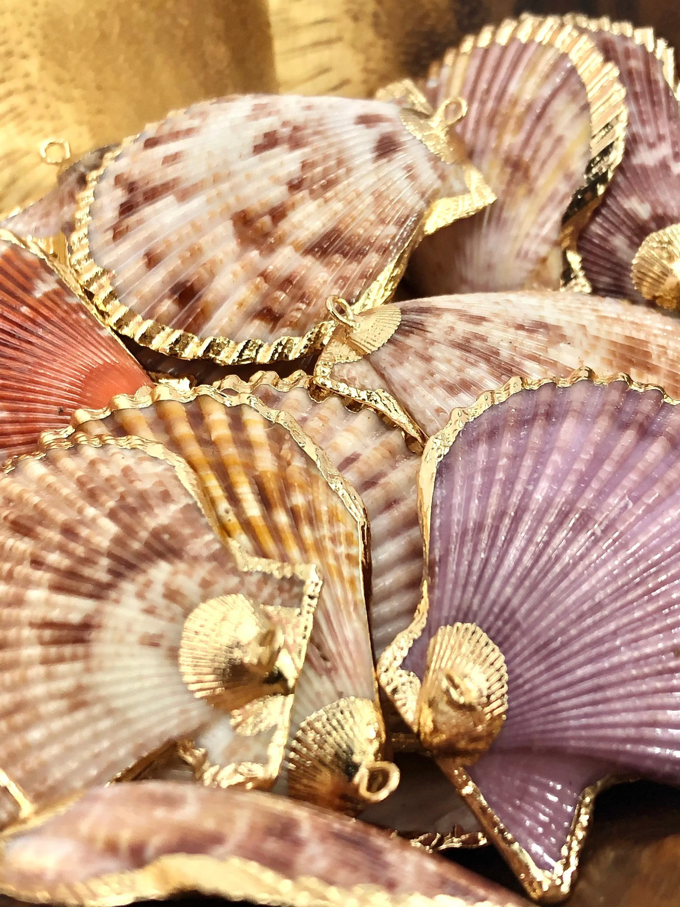 Mother Of Pearl Shell Sku#M644