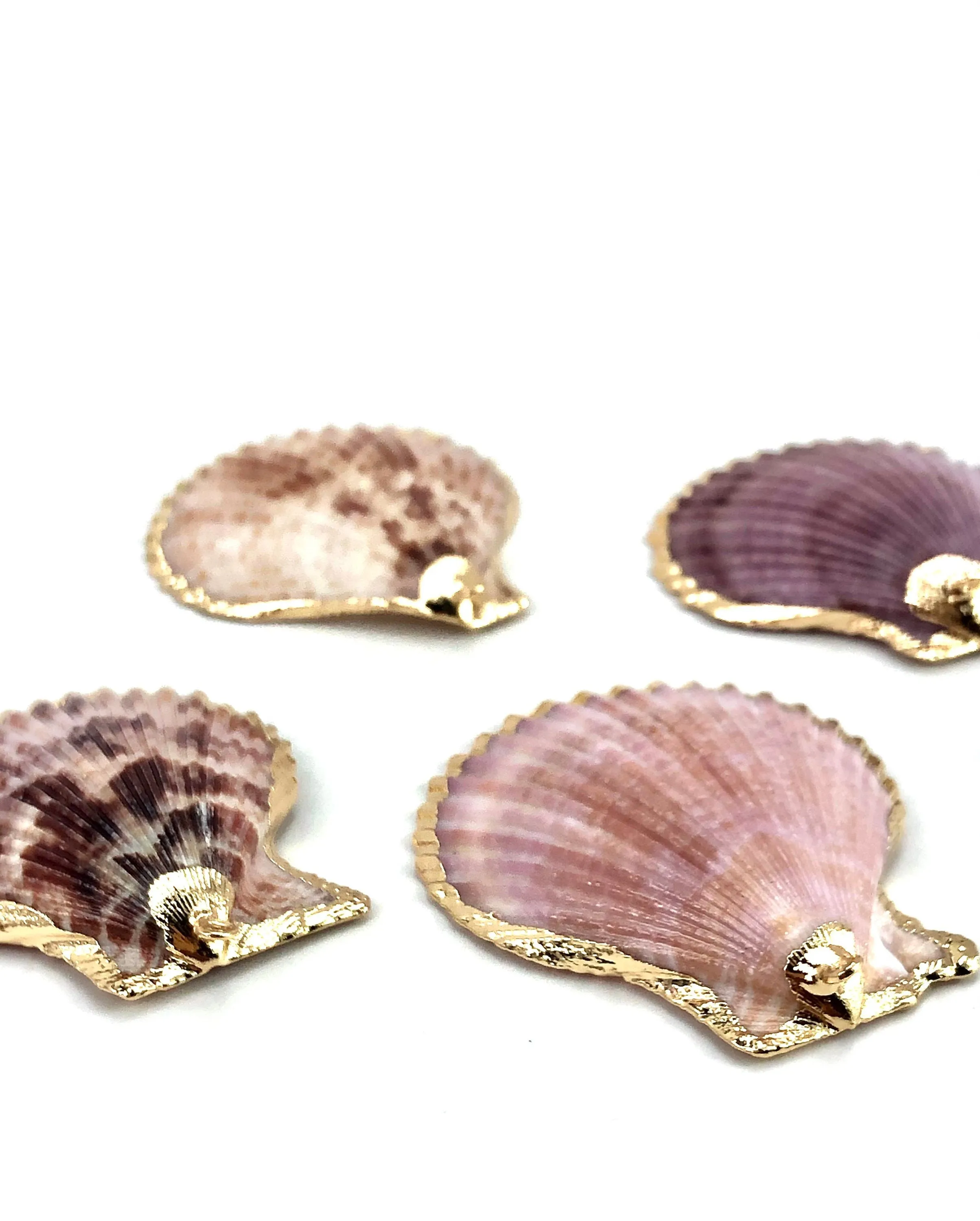 Mother Of Pearl Shell Sku#M644