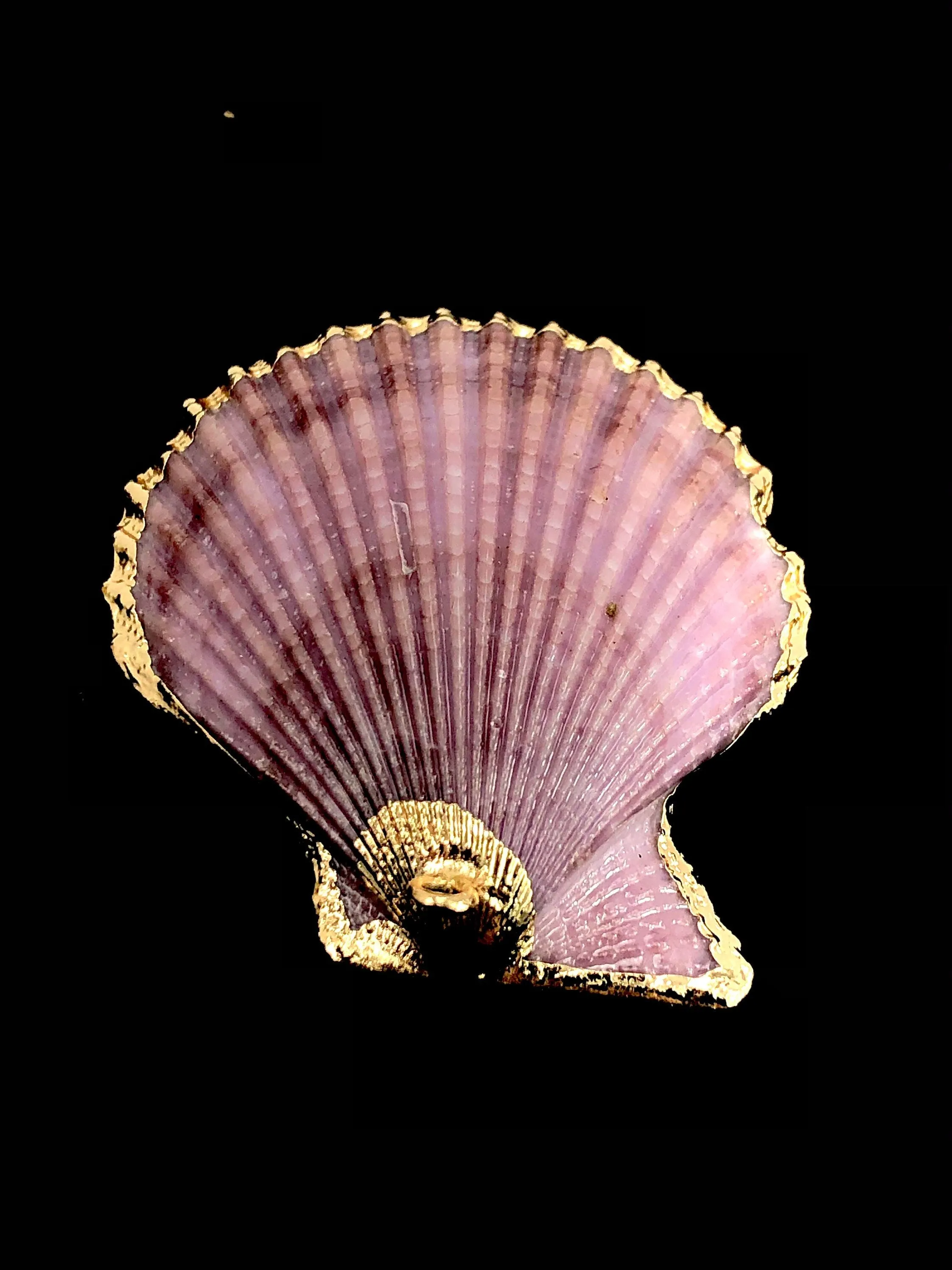 Mother Of Pearl Shell Sku#M644