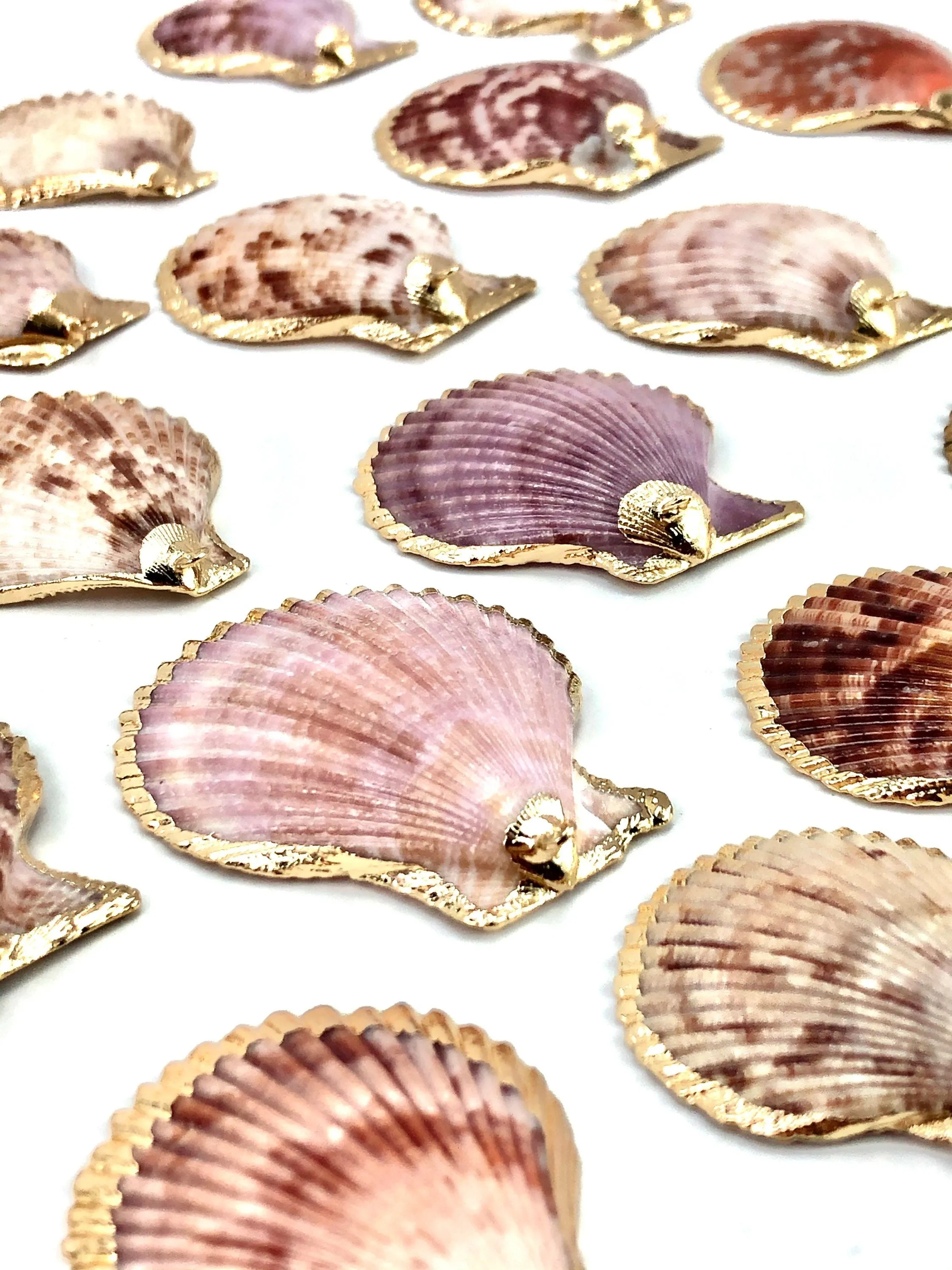 Mother Of Pearl Shell Sku#M644