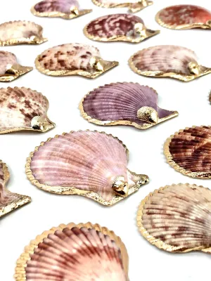 Mother Of Pearl Shell Sku#M644