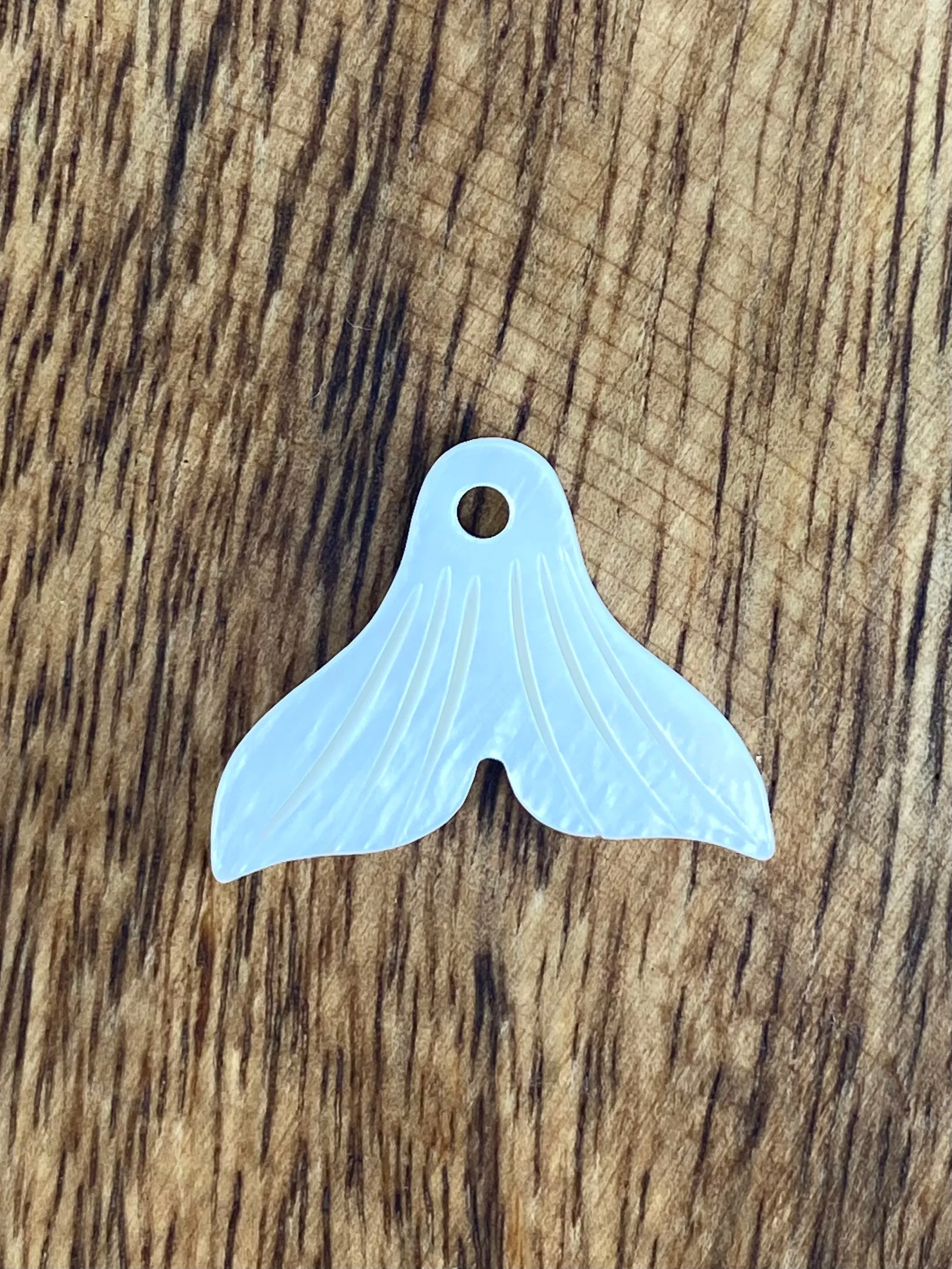 Mother Of Pearl Whale Tail Shell, Sku#M337