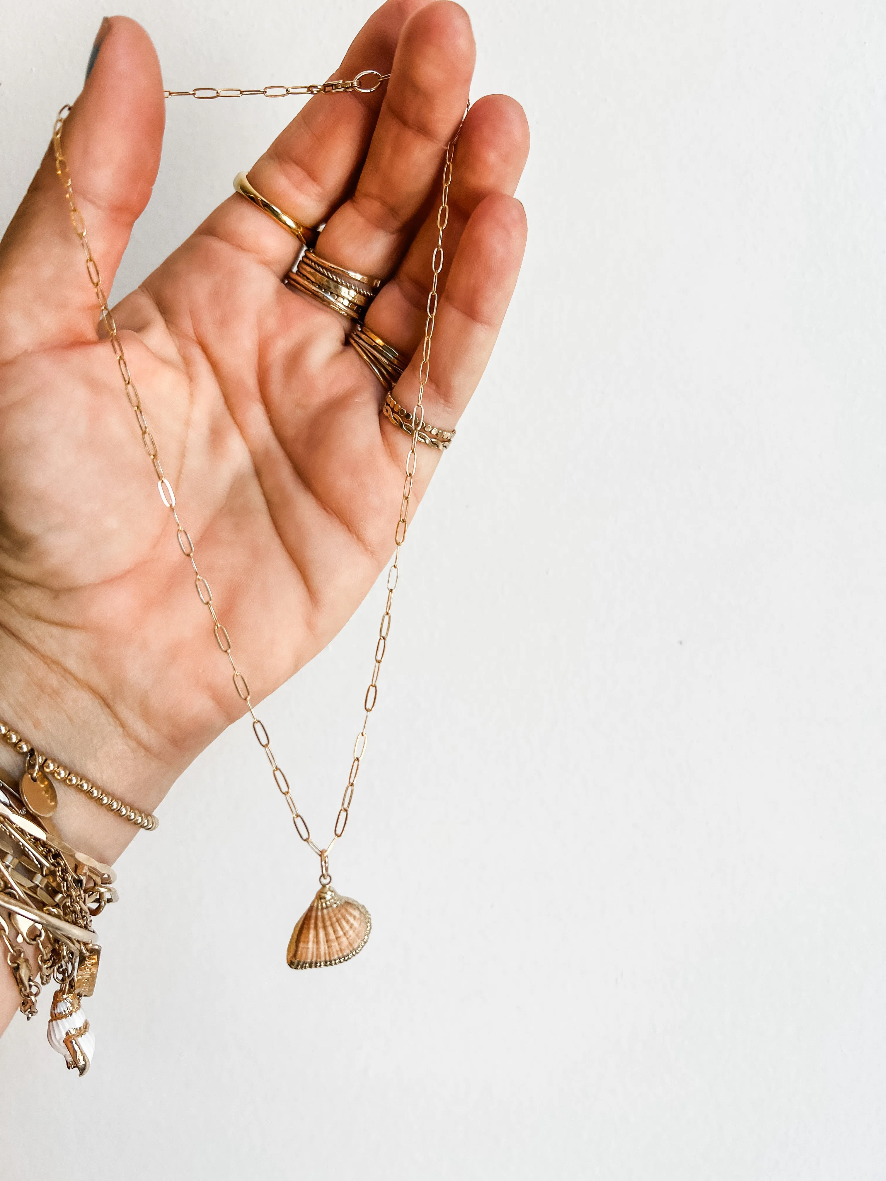 MUSCLE SHELL CHAIN