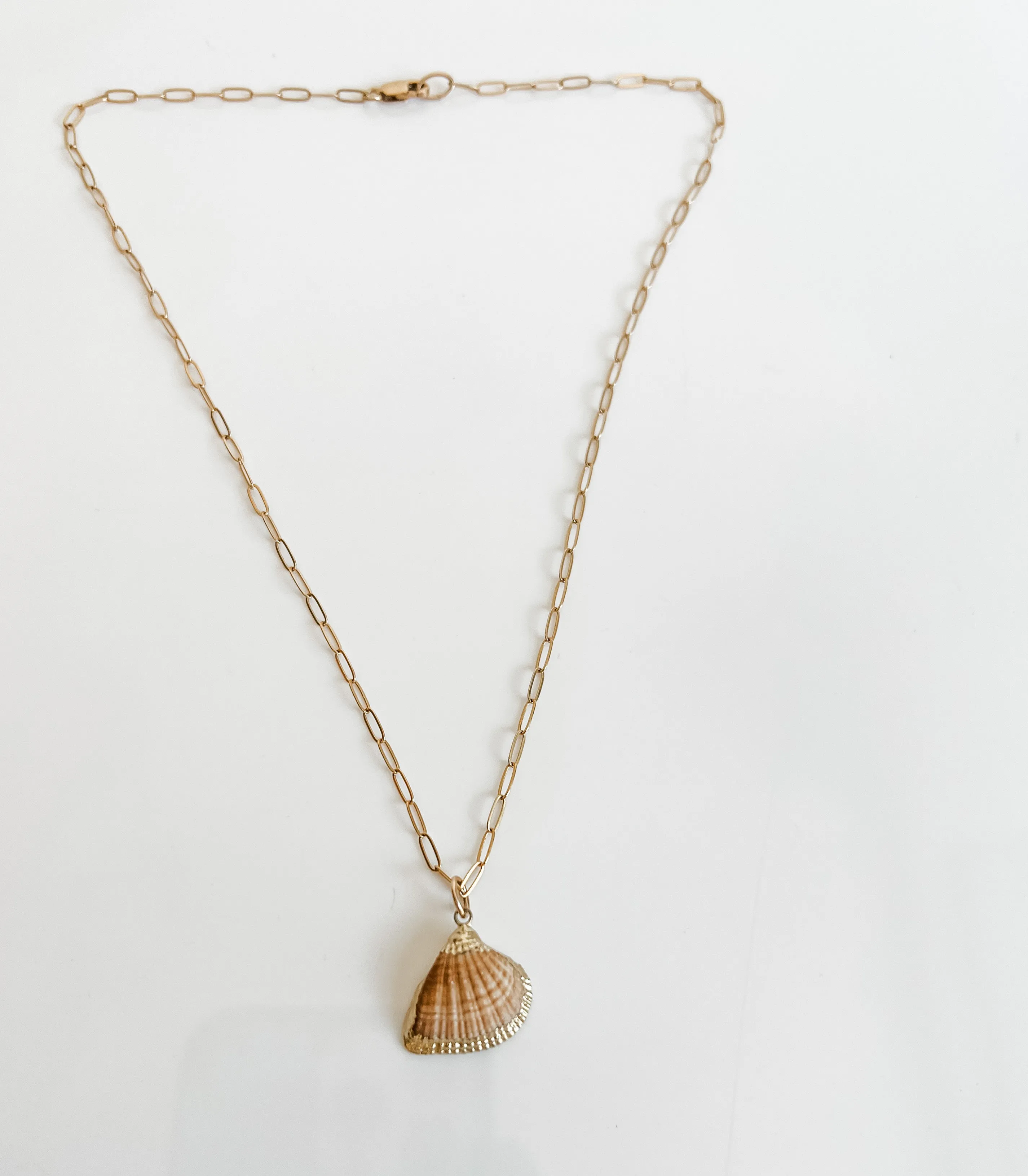 MUSCLE SHELL CHAIN