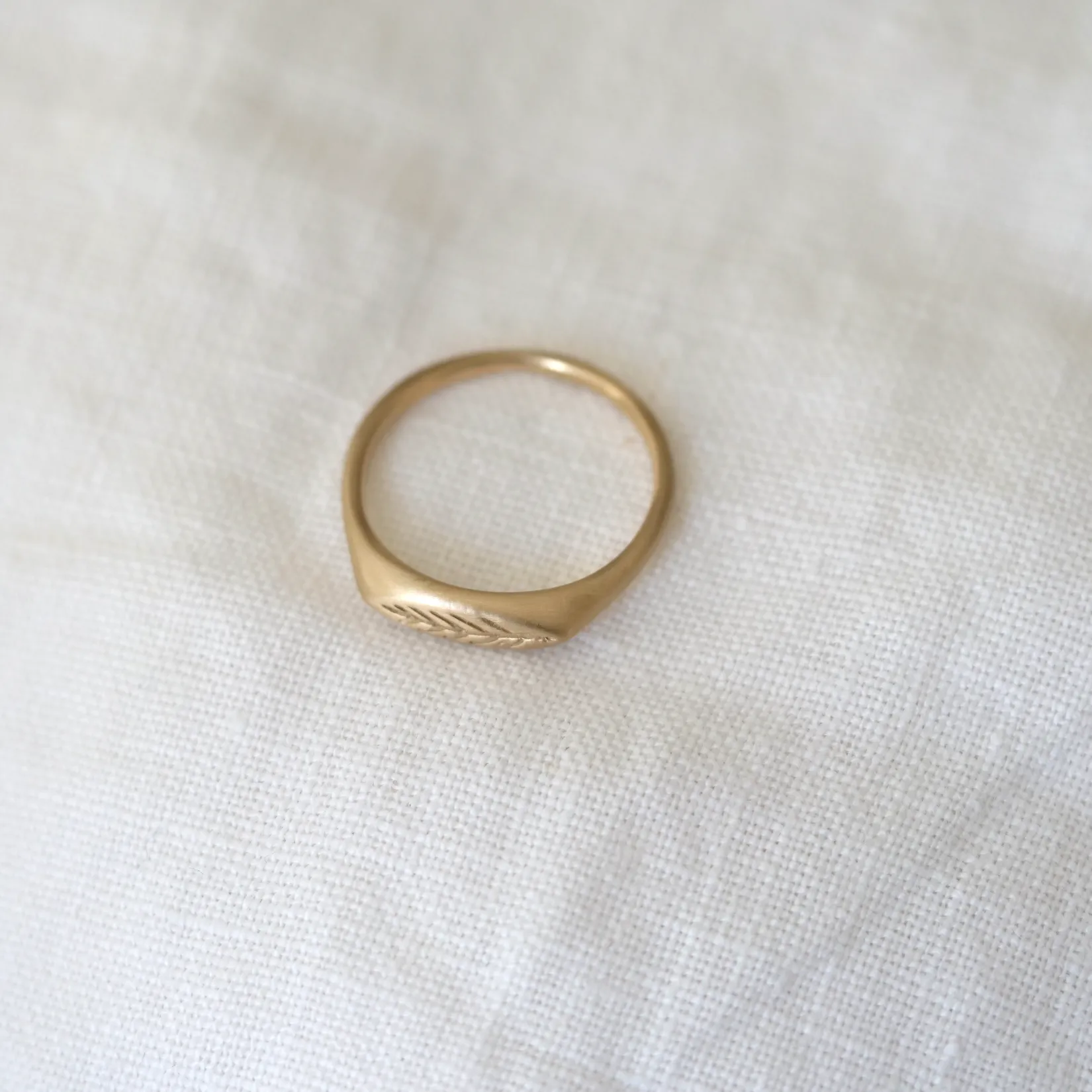 Olive Branch Signet Ring