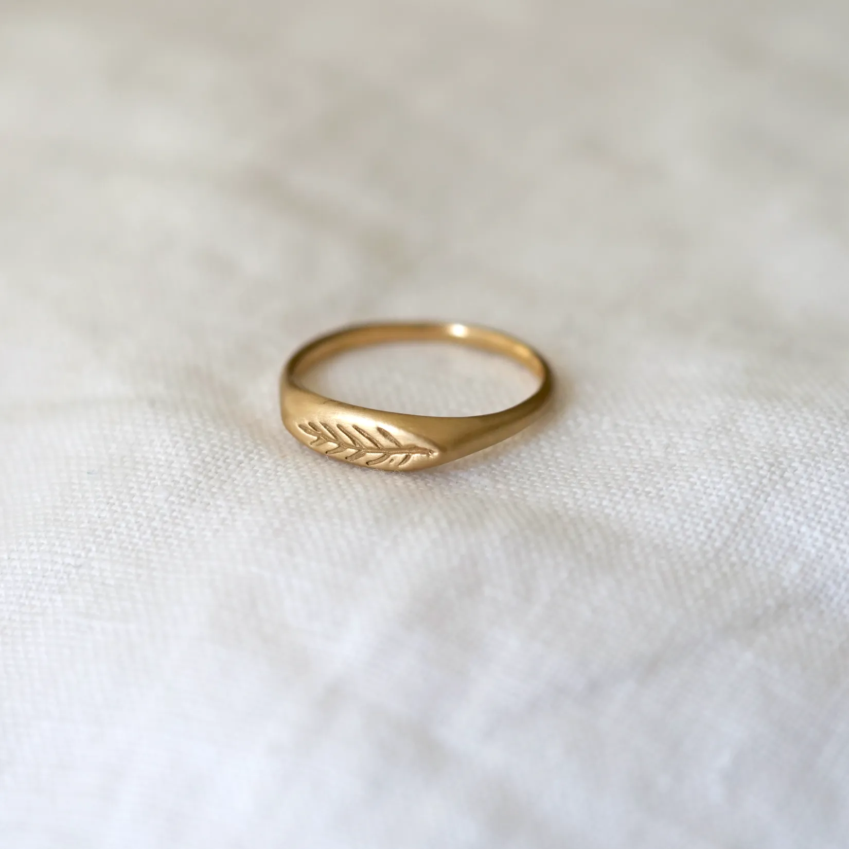 Olive Branch Signet Ring