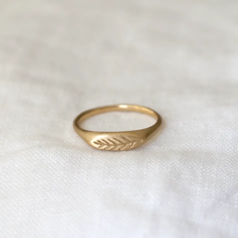 Olive Branch Signet Ring