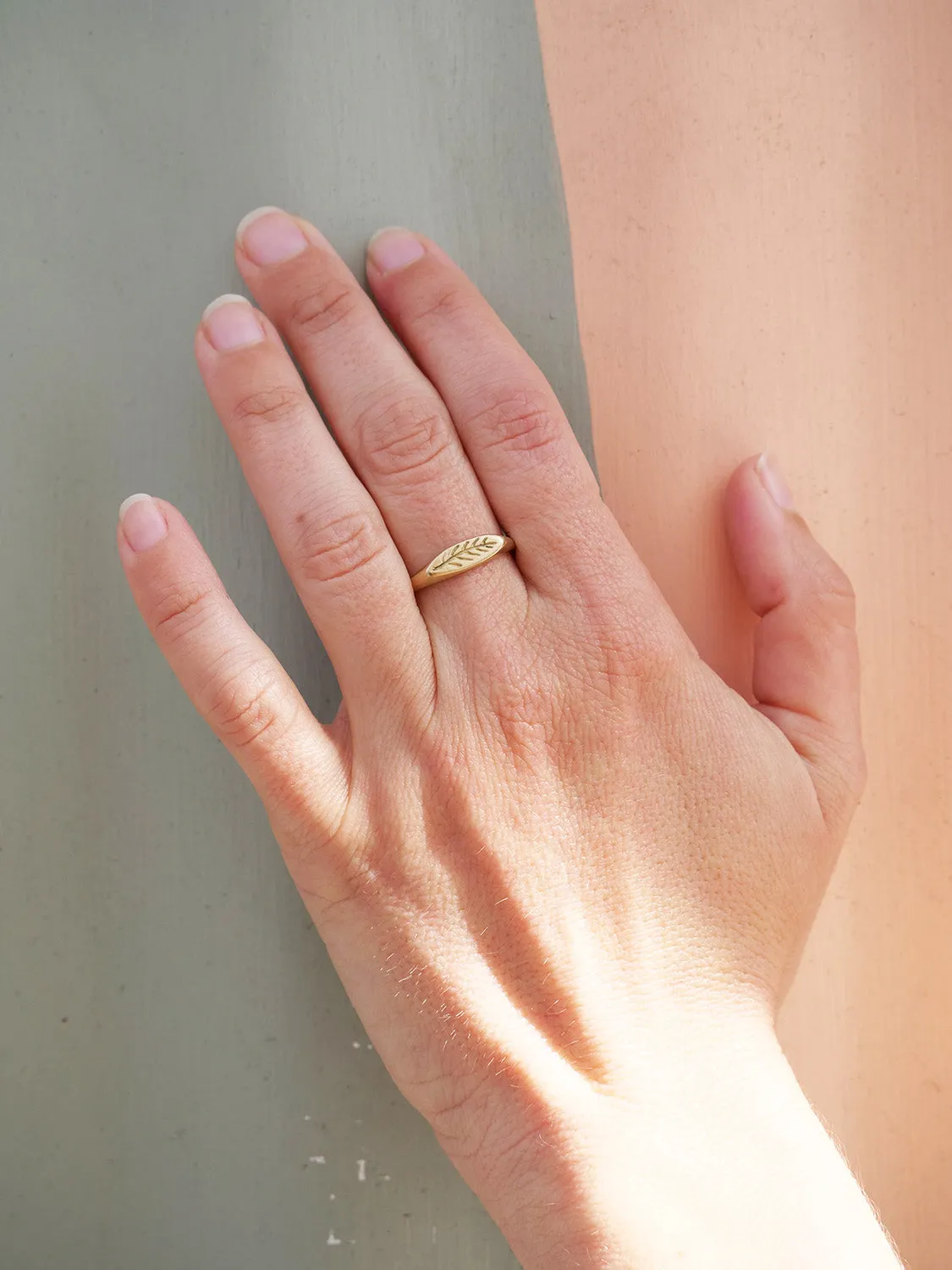 Olive Branch Signet Ring