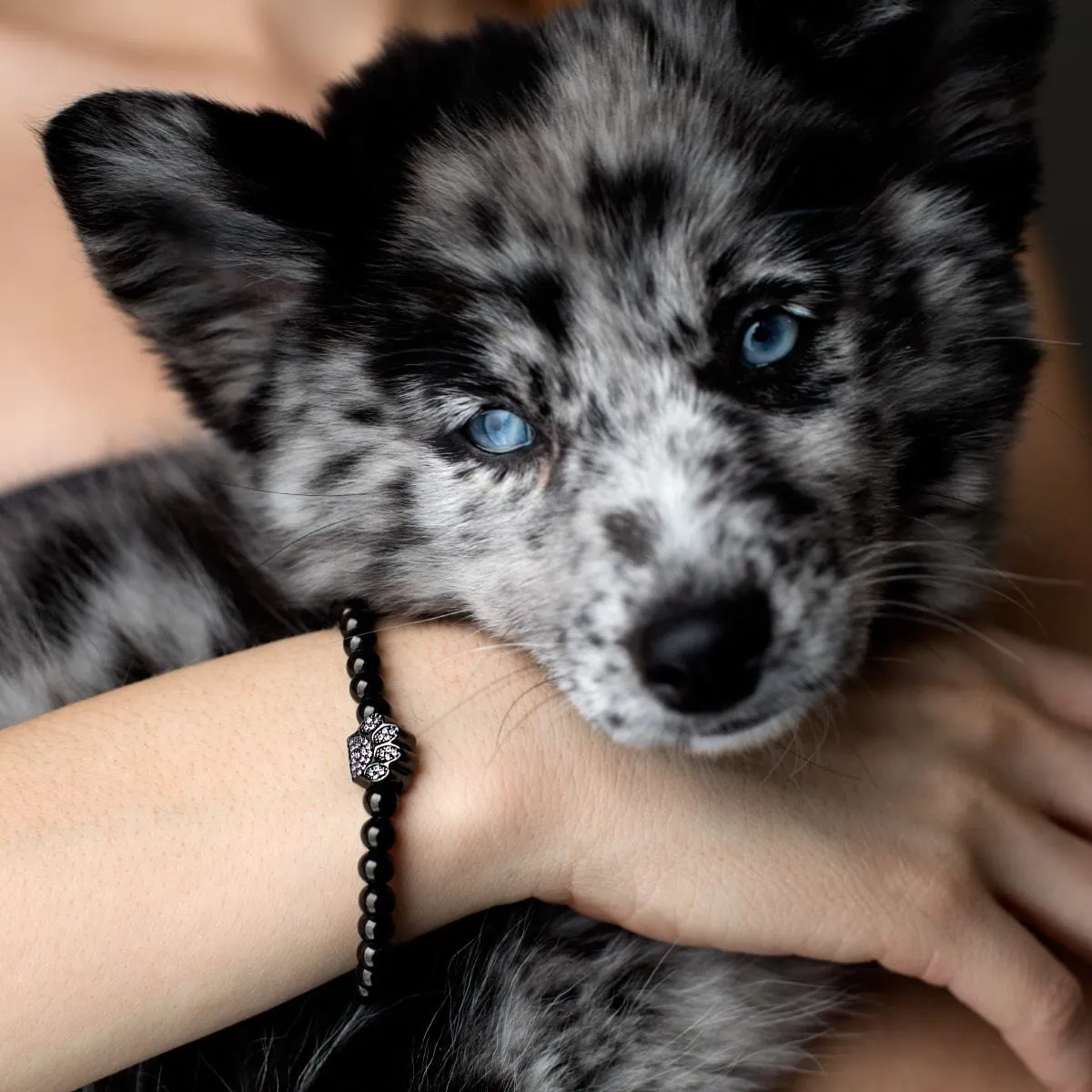 Paw | Gunmetal | Crystal Pup Print
