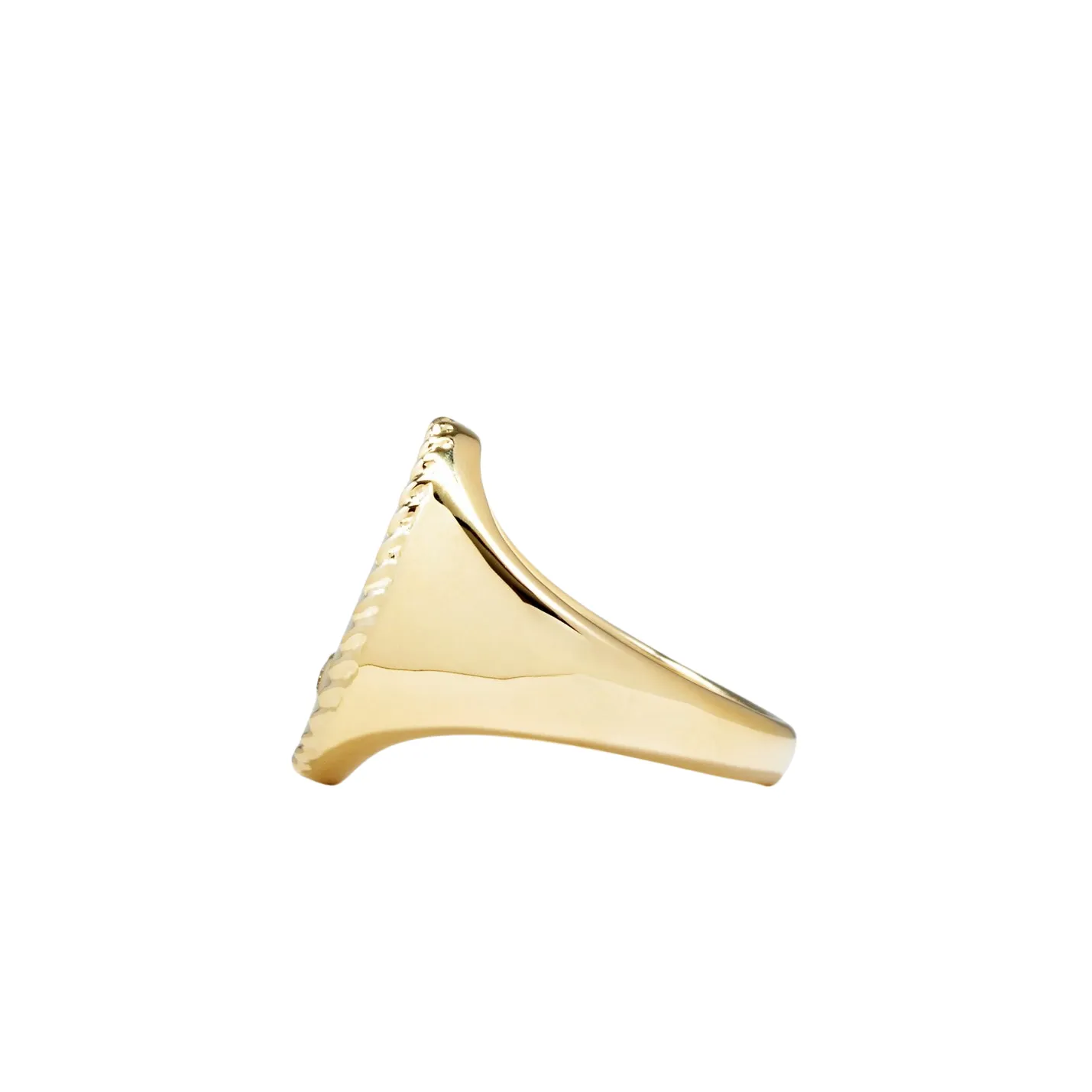 Precious Oval Signet Ring with Diamond Bezel