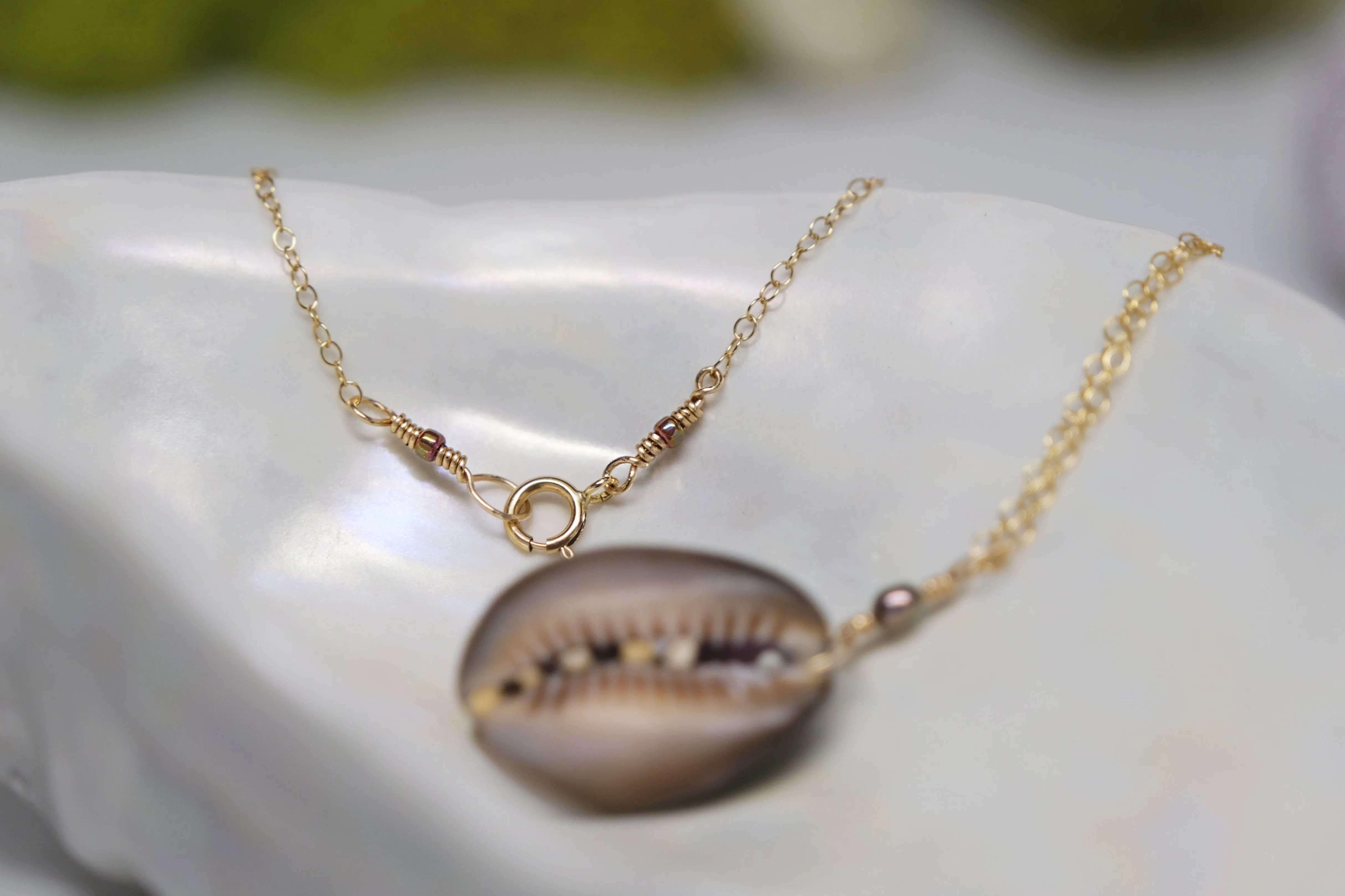Purple Back Cowrie Necklace