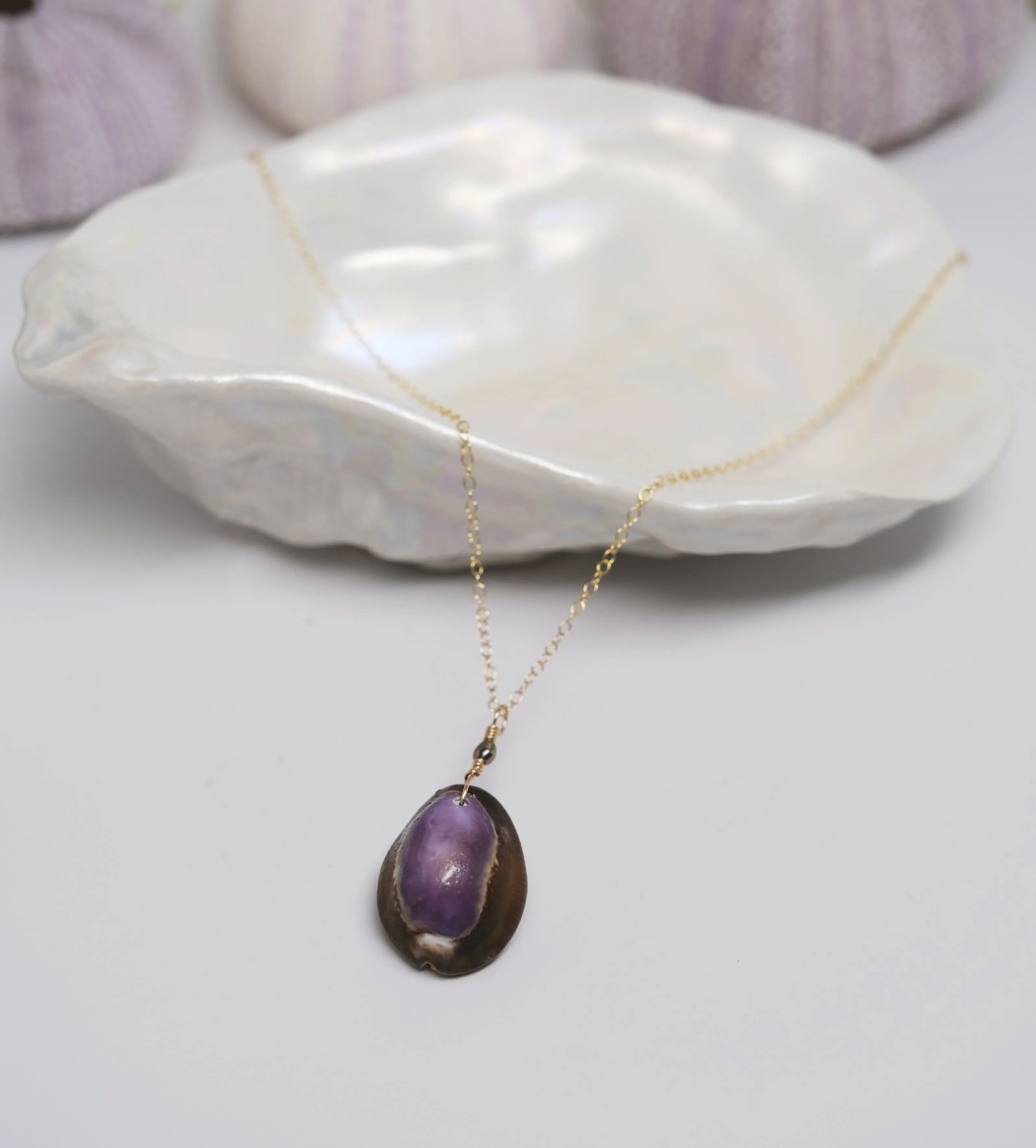 Purple Back Cowrie Necklace