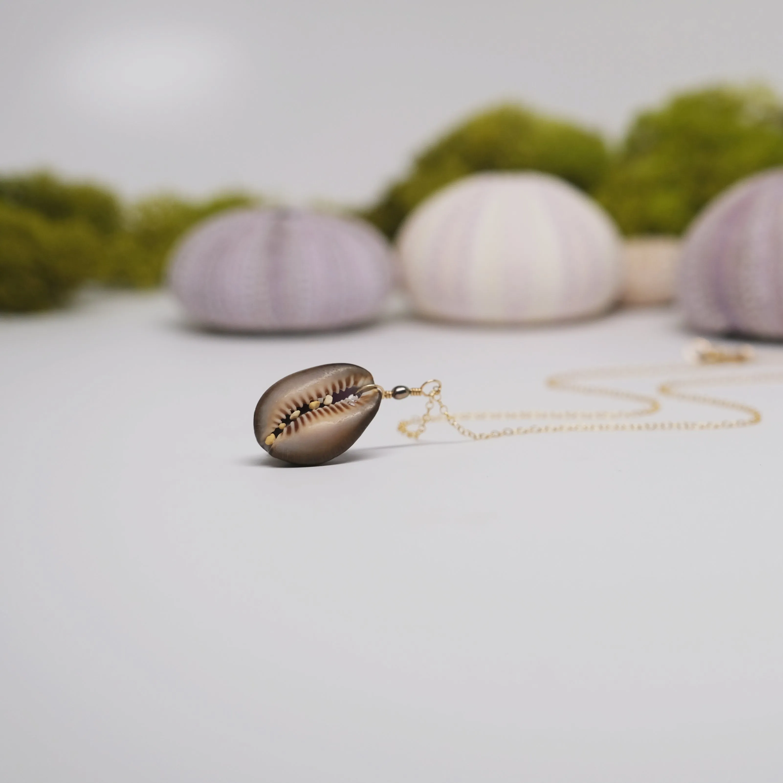 Purple Back Cowrie Necklace
