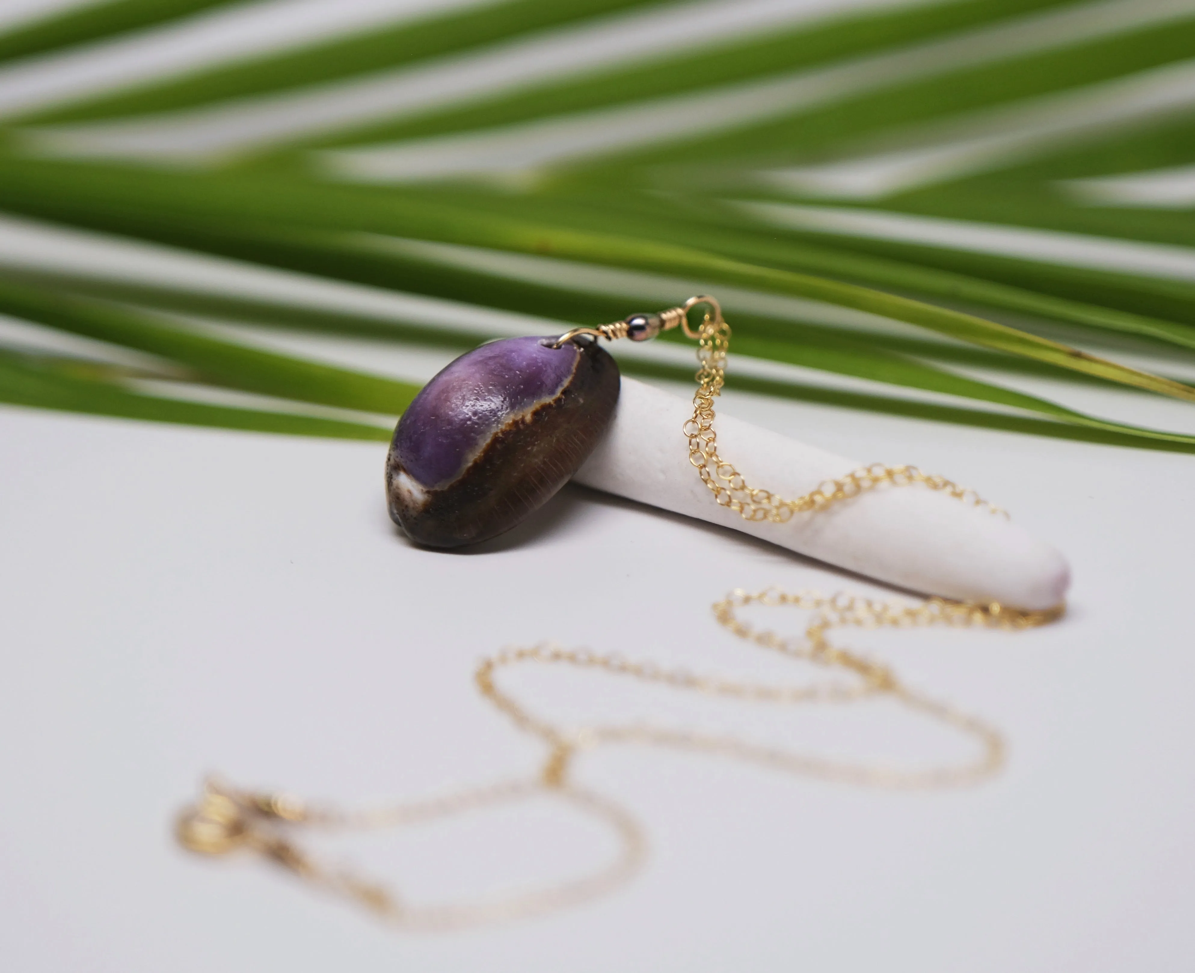 Purple Back Cowrie Necklace