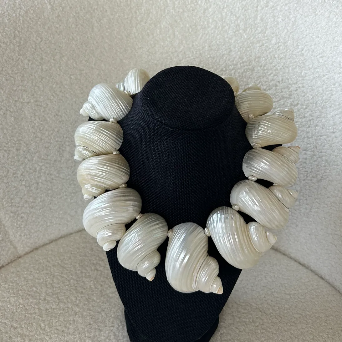 quinn shell necklace