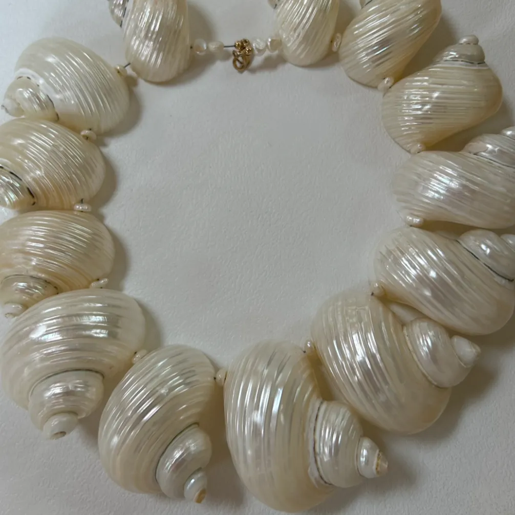 quinn shell necklace