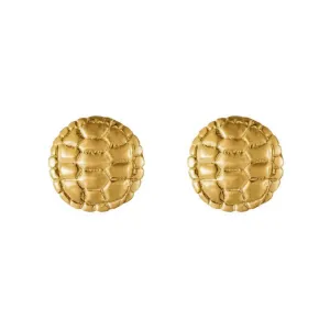 Sahel Gold Tortoise Shell Round Stud Earrings