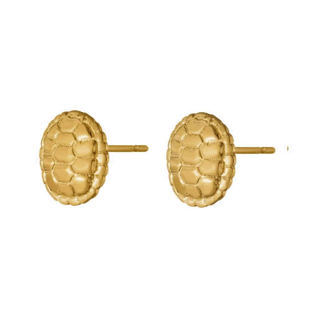 Sahel Gold Tortoise Shell Round Stud Earrings