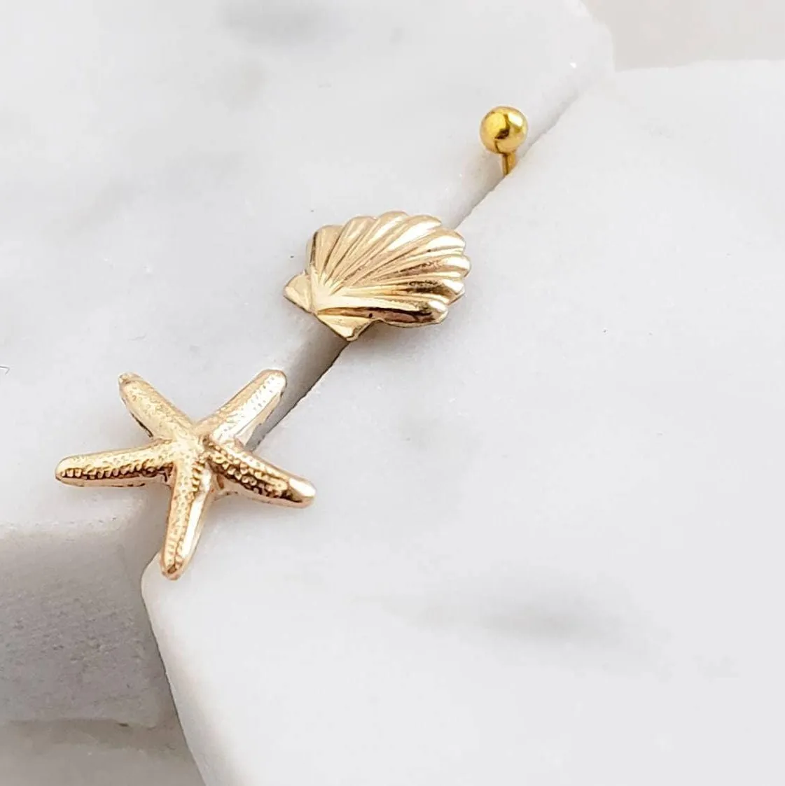 Seashell Stud Set