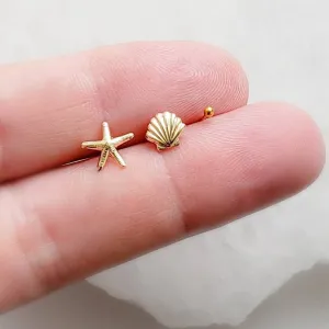 Seashell Stud Set