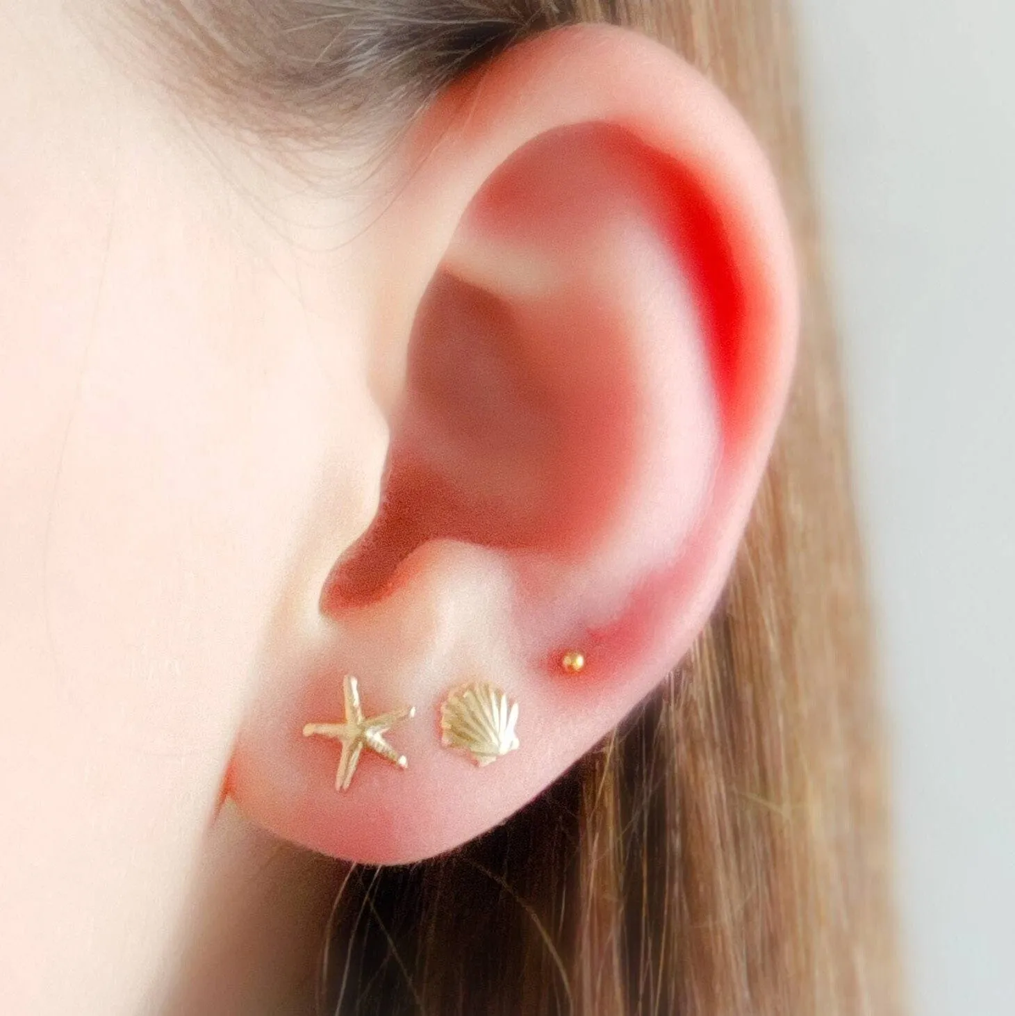 Seashell Stud Set