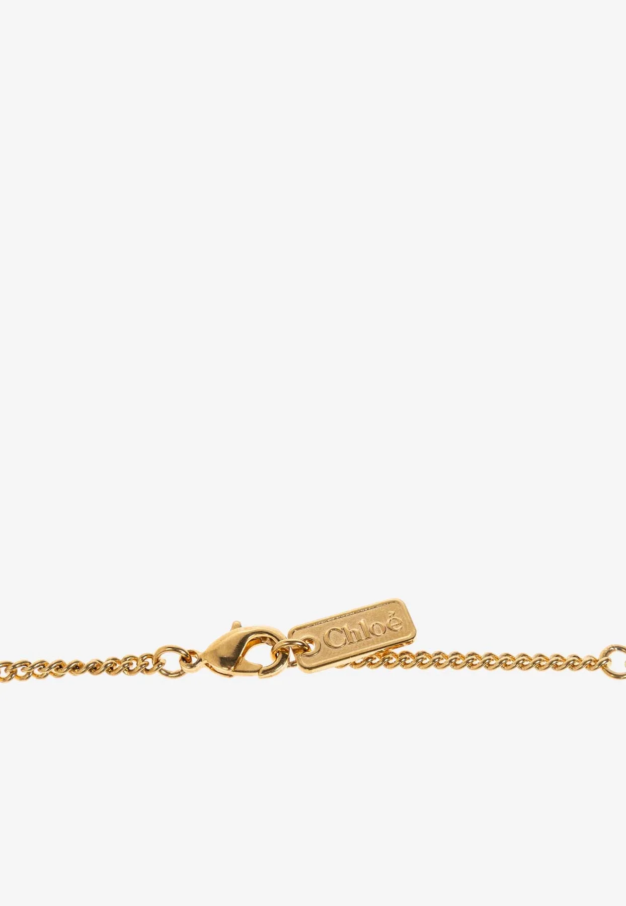 Shells Pendant Long Necklace