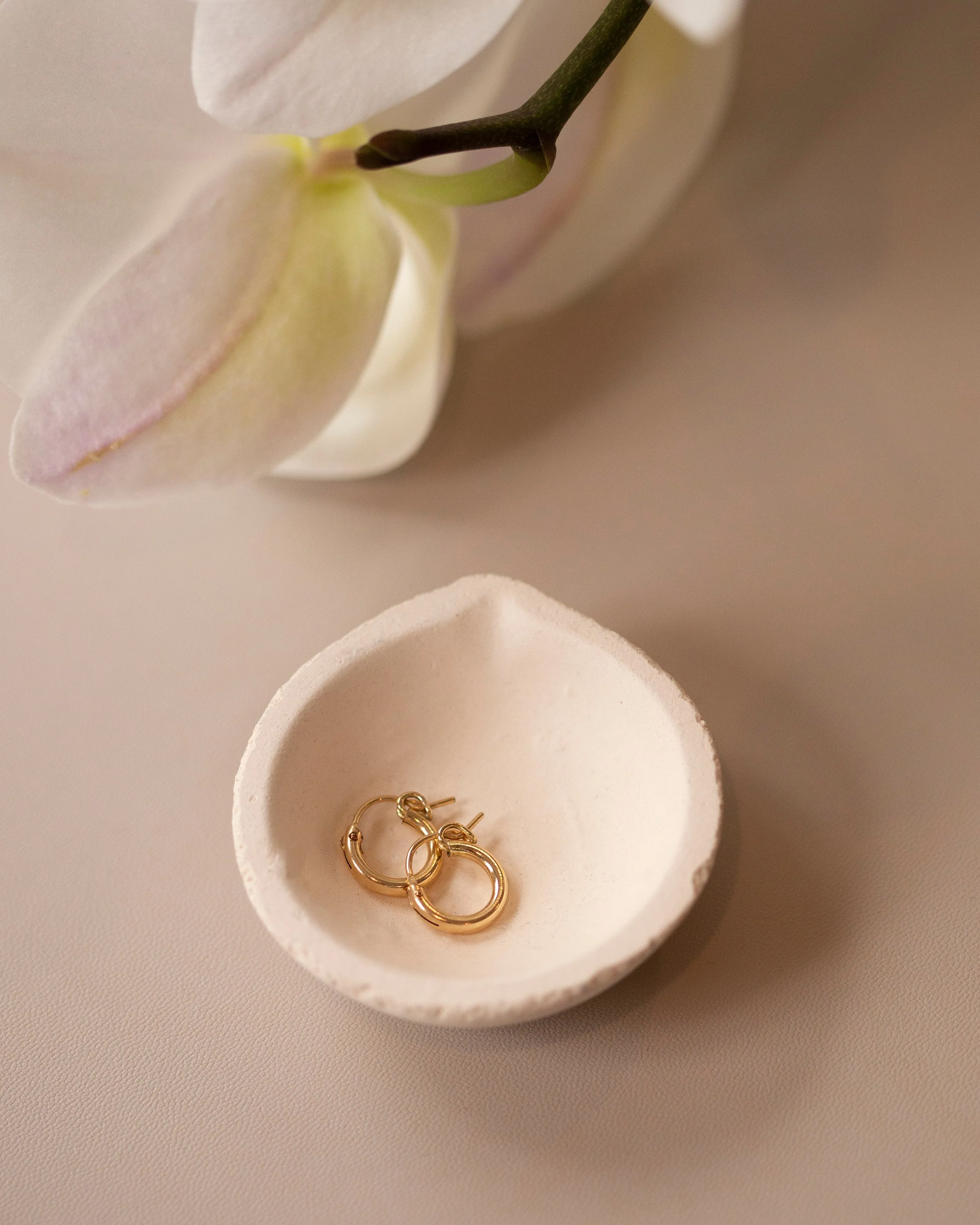 Small Hoop Earrings