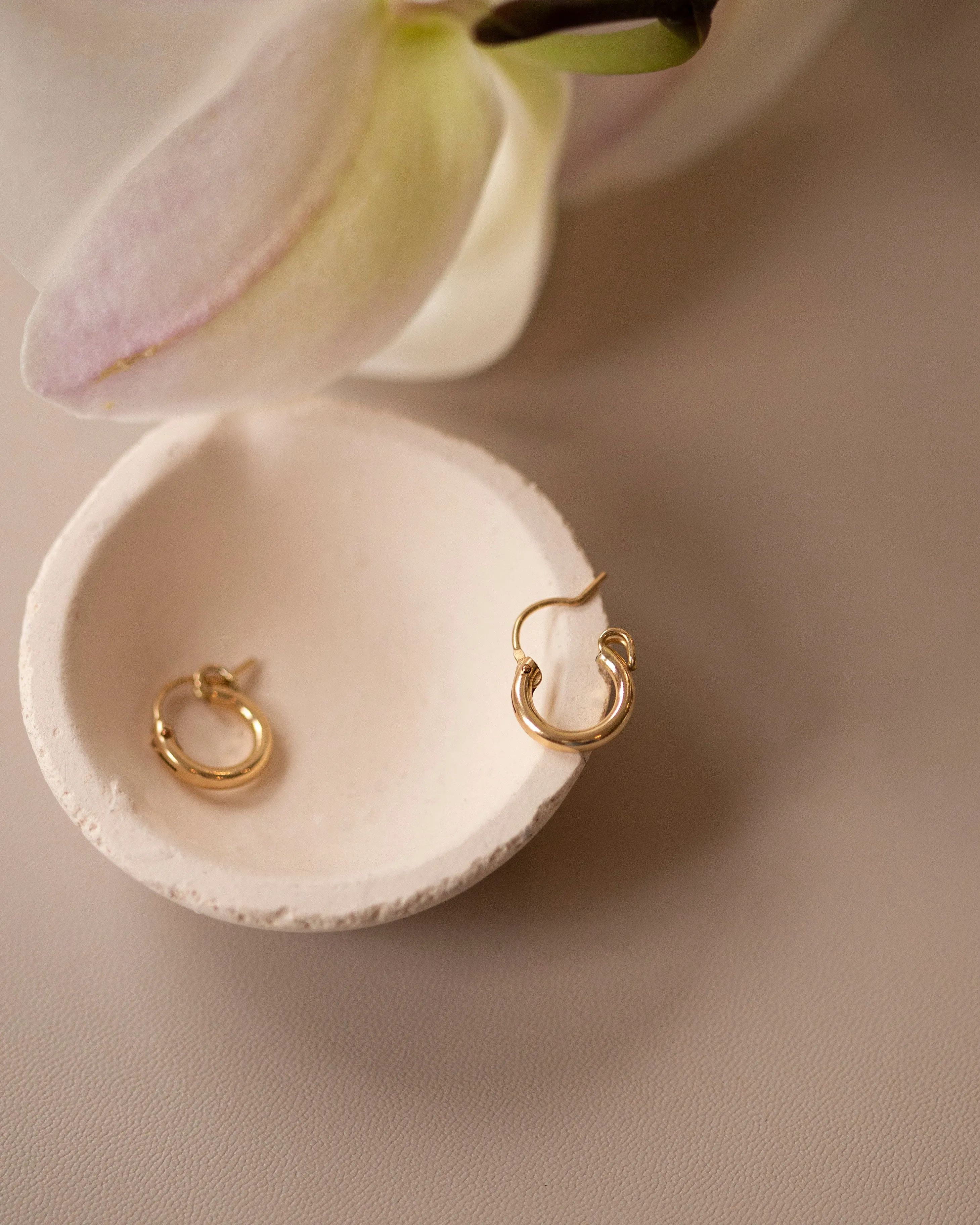 Small Hoop Earrings