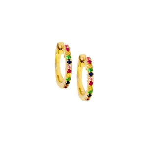 Small Rainbow Hoop Earrings