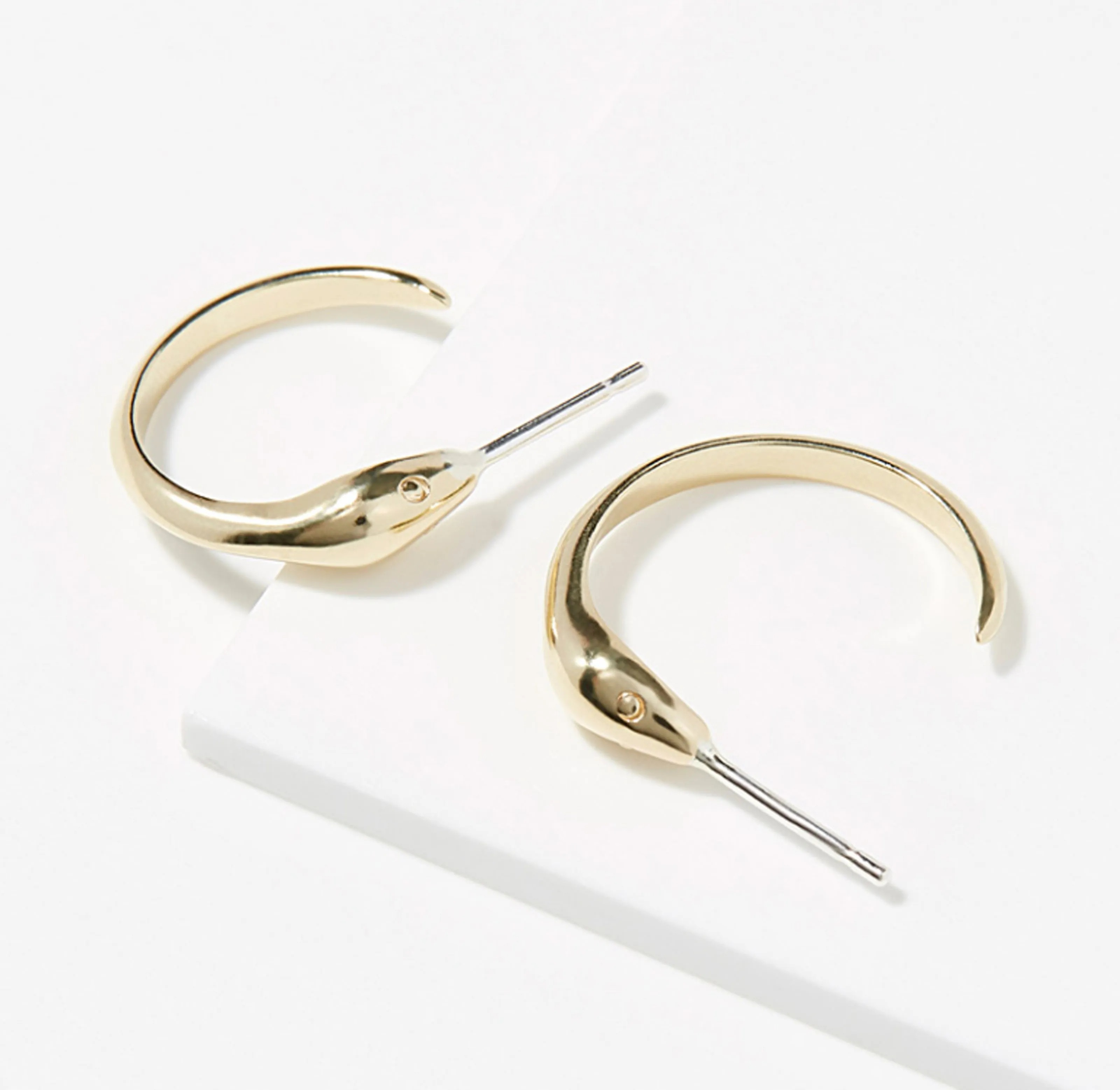 Small Snake Hoop Earrings