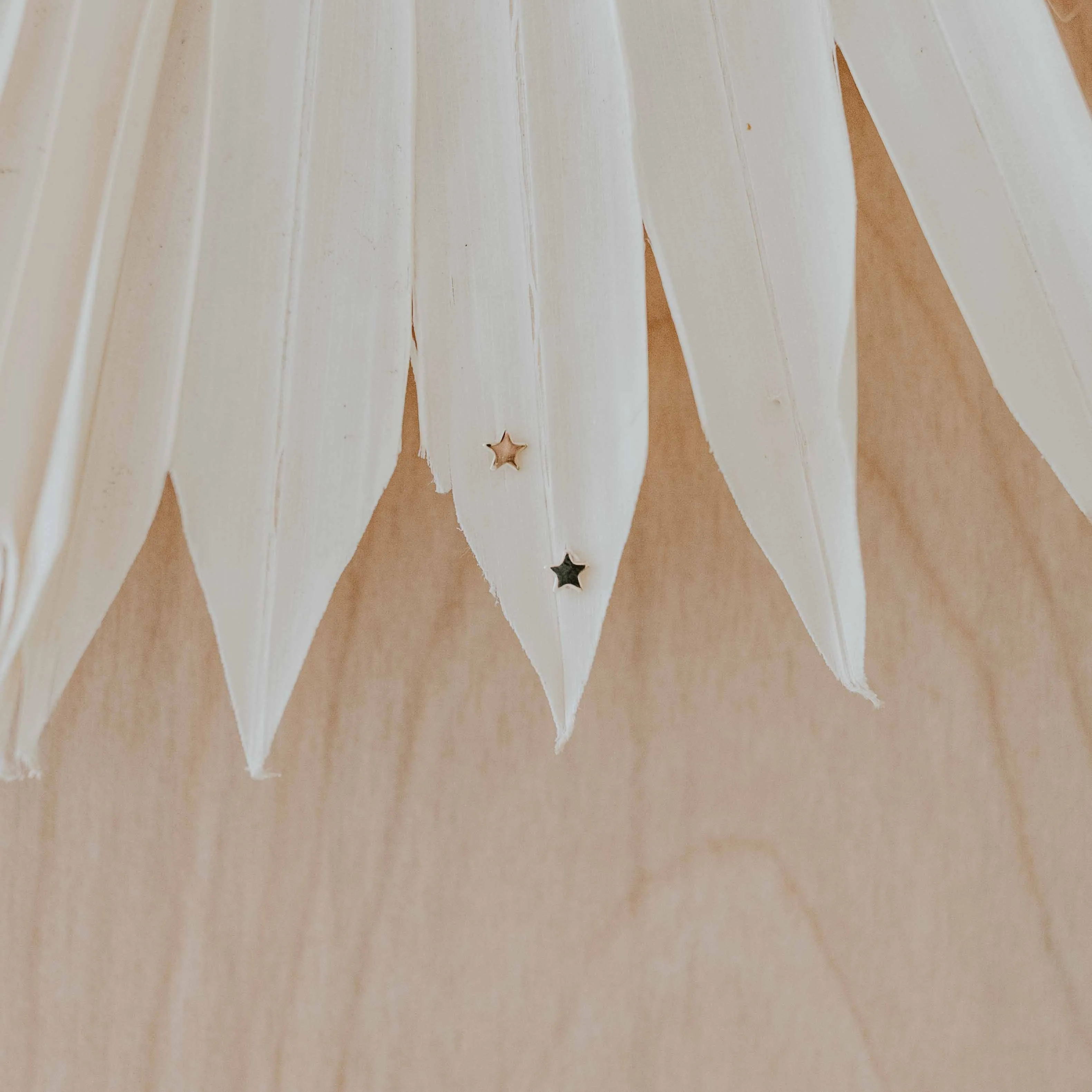 Star Studs