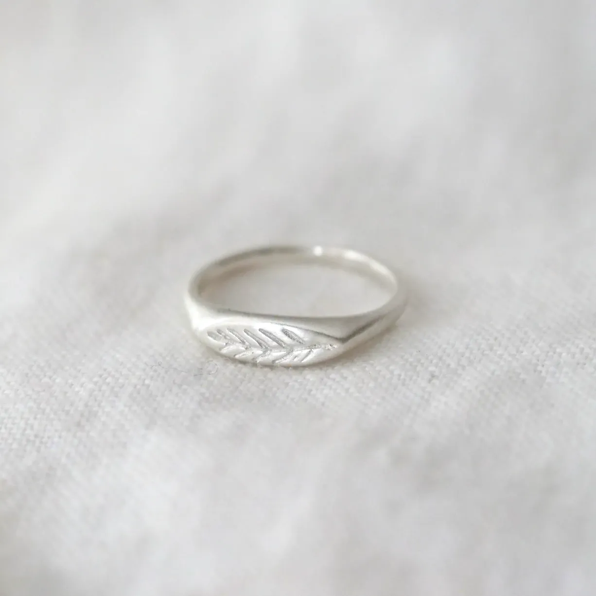Sterling Silver Olive Branch Signet Ring