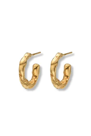 Talisman Small Hoop Earrings Gold