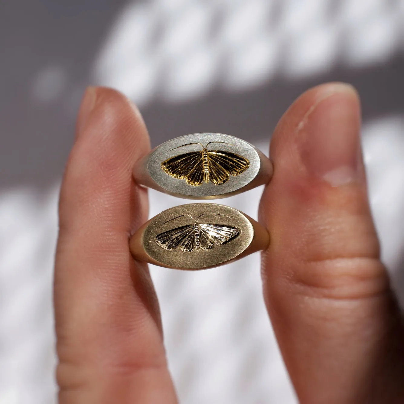 The Moth Signet